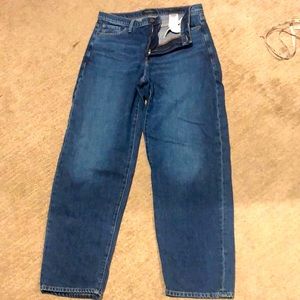 Banana Republic Jeans High Rose Barrel Fit Size 29 Cecilia Wash VGUC